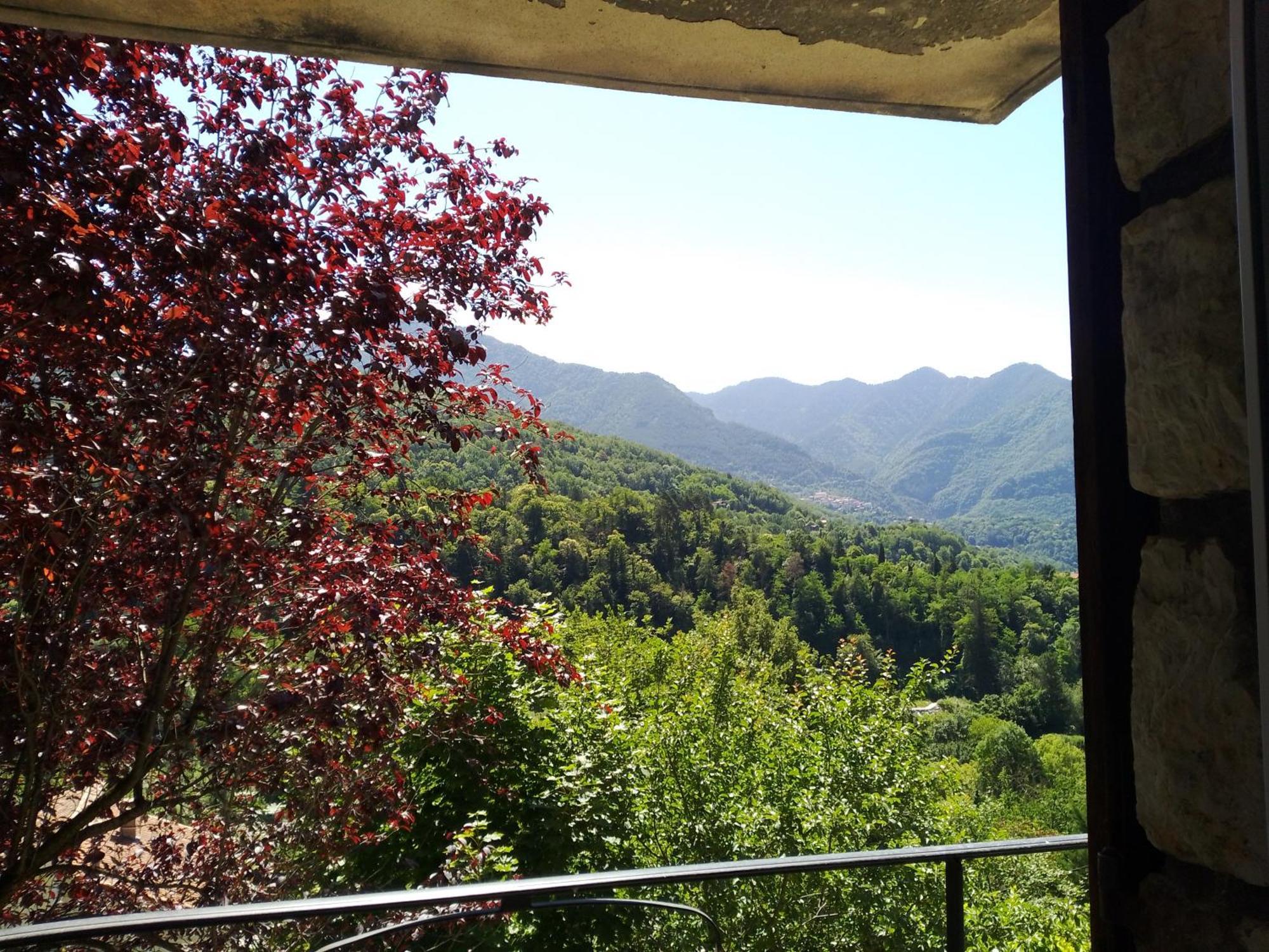 Les Lauriers Roquebilliere Exterior foto